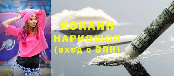 дмт Дмитров