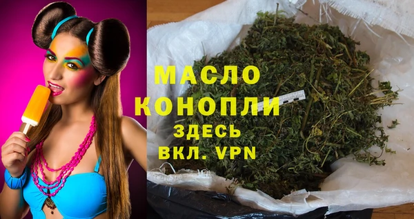 дмт Дмитров