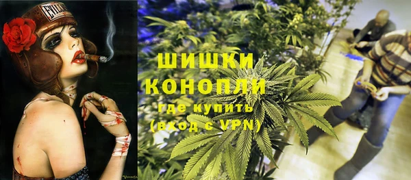 дмт Дмитров