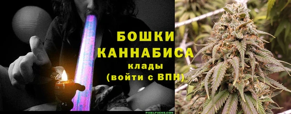 спайс Дмитриев