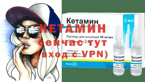 дмт Дмитров