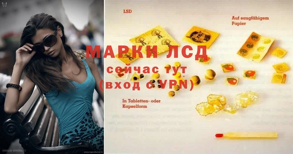 спайс Дмитриев